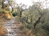 Kalderimi (kamene staze - stepenice)